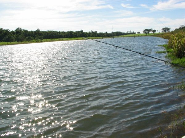 Image-F271F17B972F11D8