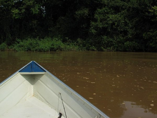 Image-5AD06064973211D8